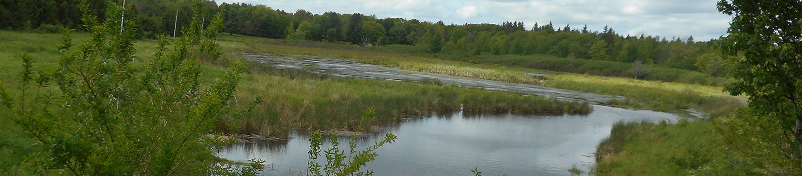 Federal Wetland Programs