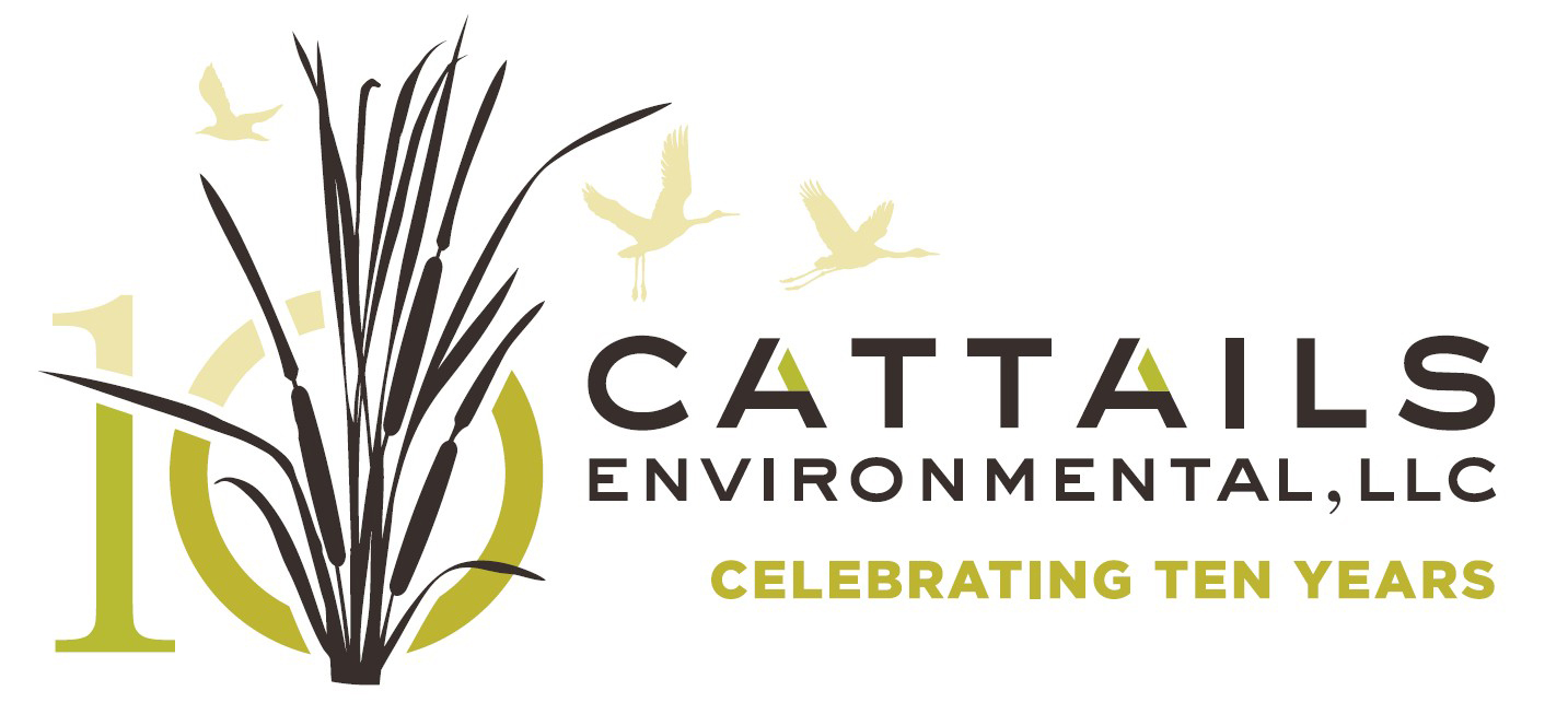 Cattails Environmental, LLC