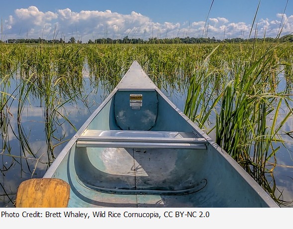 American Wetlands Month