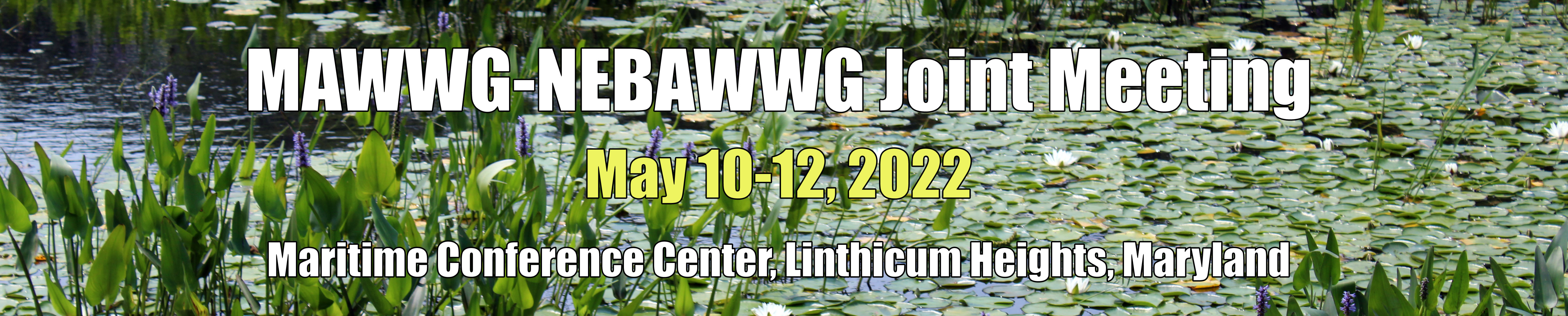 NEBAWWG Meeting