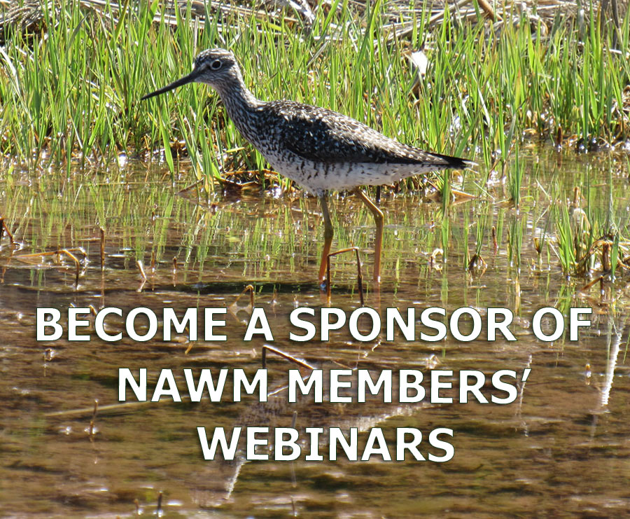 Members' Wetland Webinar