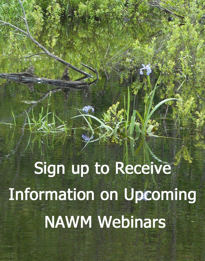 Sign Up for NAWM Webinars