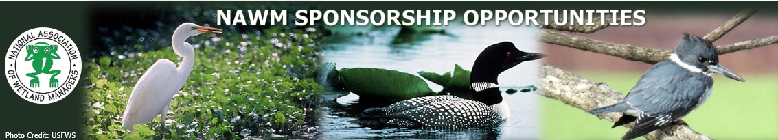 Sponsorship
