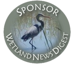 Sponsor WND