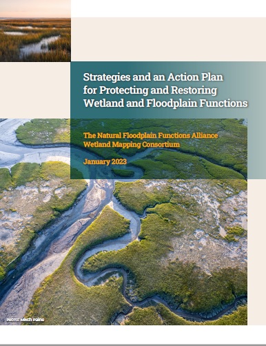 Strategies and an Action Plan for Protecting and Restoring Wetland and Floodplain Functions