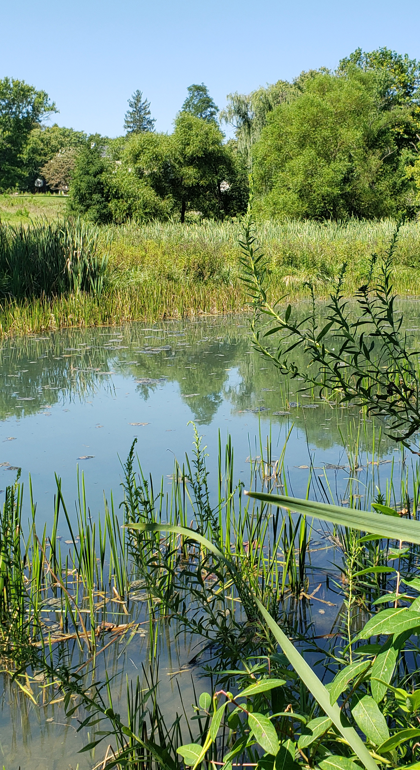 Tribal Wetland Programs
