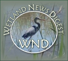 Wetland News Digest Archive Issues
