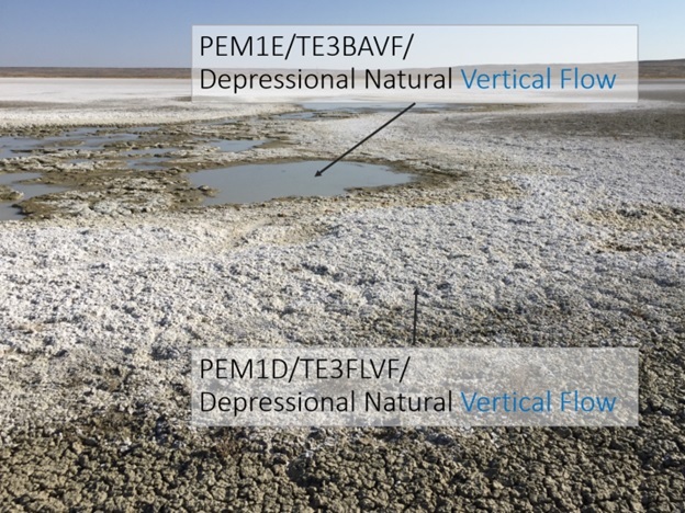 Depressional Natural Vertical FLow