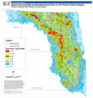 National Wetland Inventory at Risk