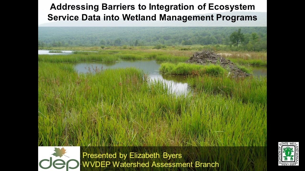 Presenter: Elizabeth Byers, Senior Wetland Scientist, West Virginia Department of Environmental Protection
