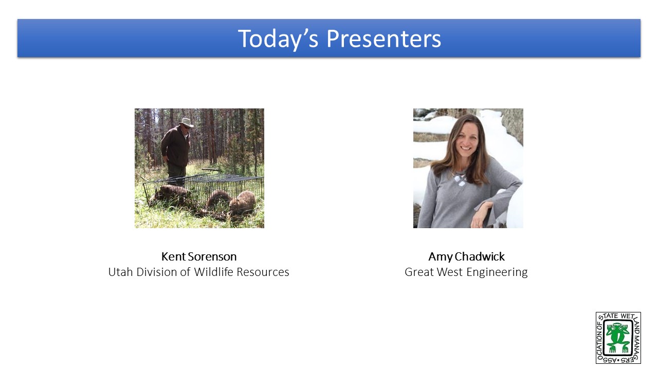 Part 3: Presenter: Amy Chadwick, Lead Ecologist, Great  West Engineering