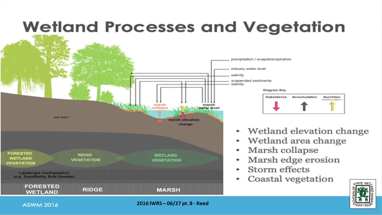 Part 8: Presenter: Denise J. Reed, PhD, Chief Scientist, The Water Institute of the Gulf 