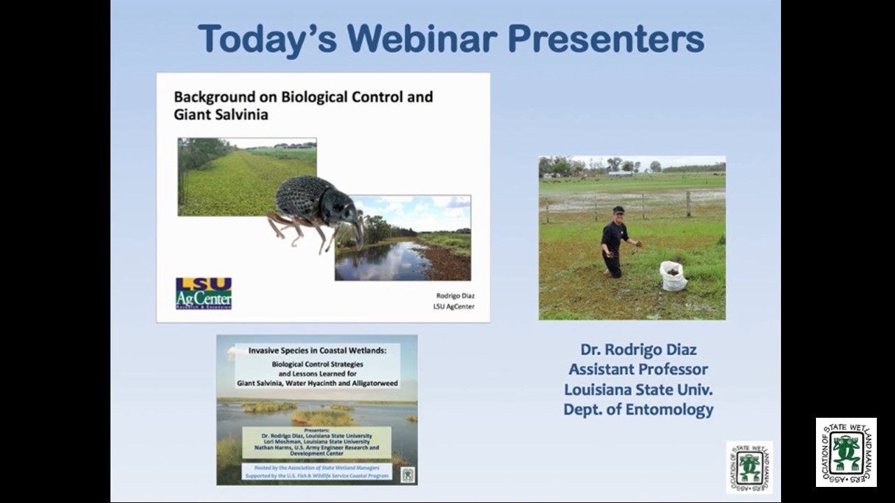Part 2: Presenter: Dr. Rodrigo Diaz, Assistant Professor, Louisiana State University Department of Entomology