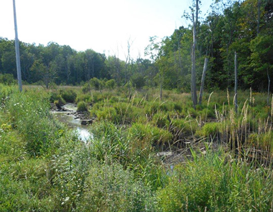 Tribal Wetland Programs Training