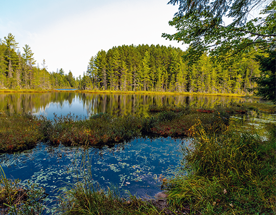 Wetland Functional Assessments Wetland Functional Assessments