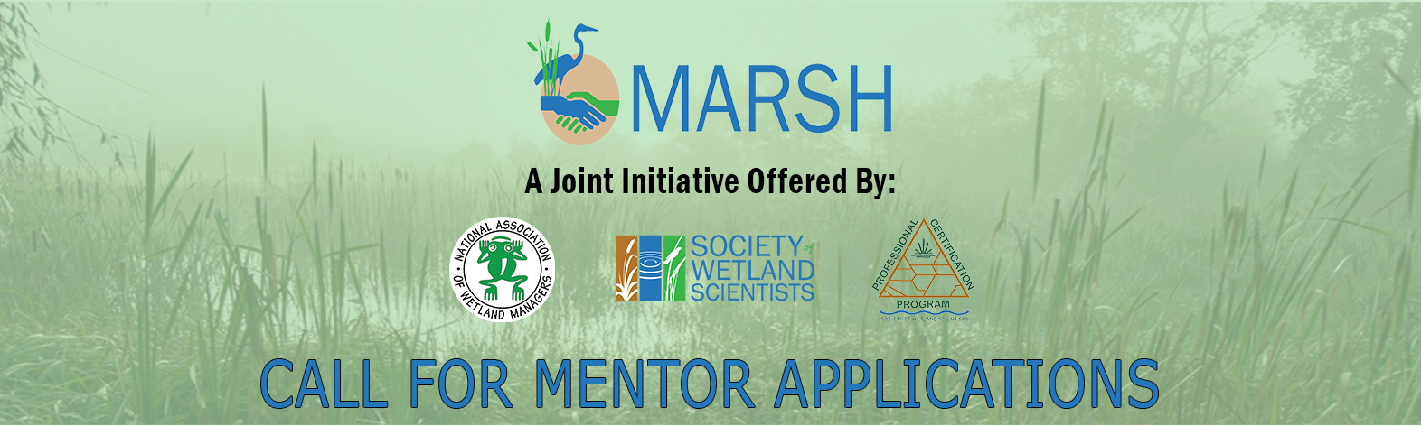 MARSH