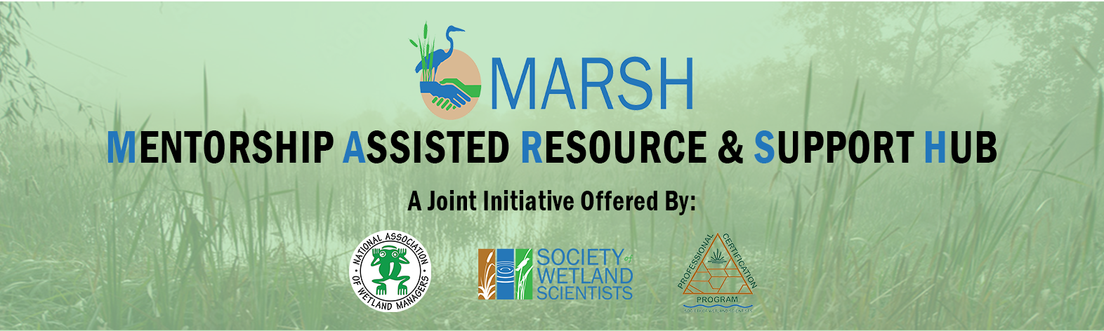 Marsh Call for Mentors