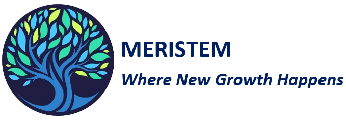 MERISTEM LOON SPONSOR