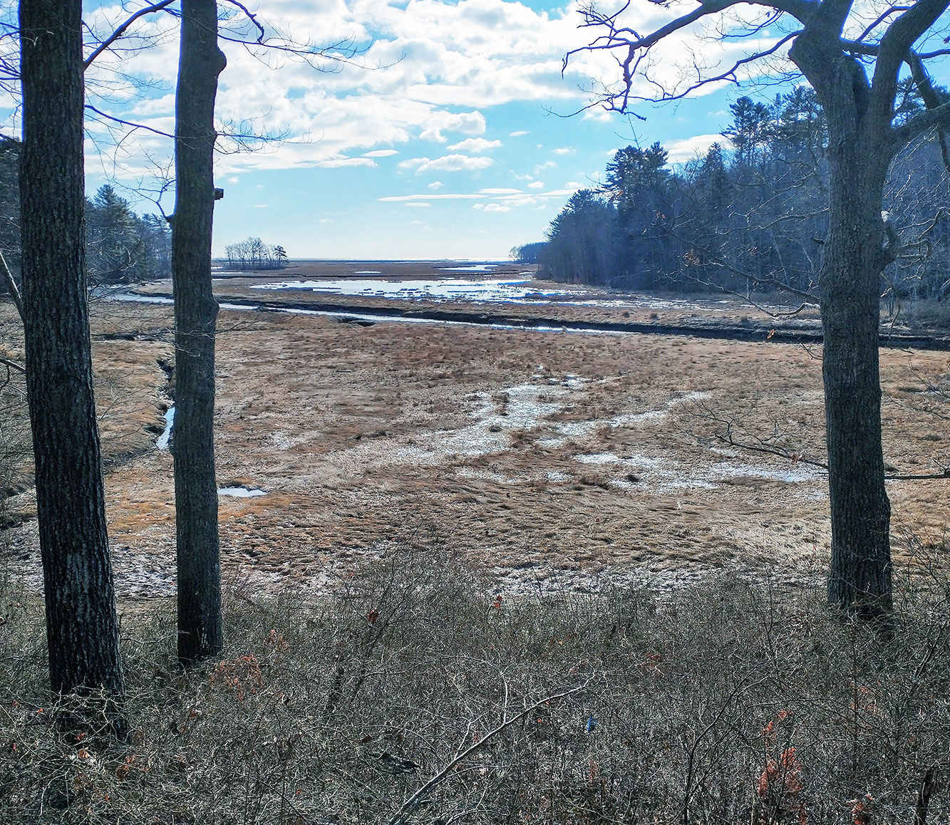 Funding for Wetland Mapping